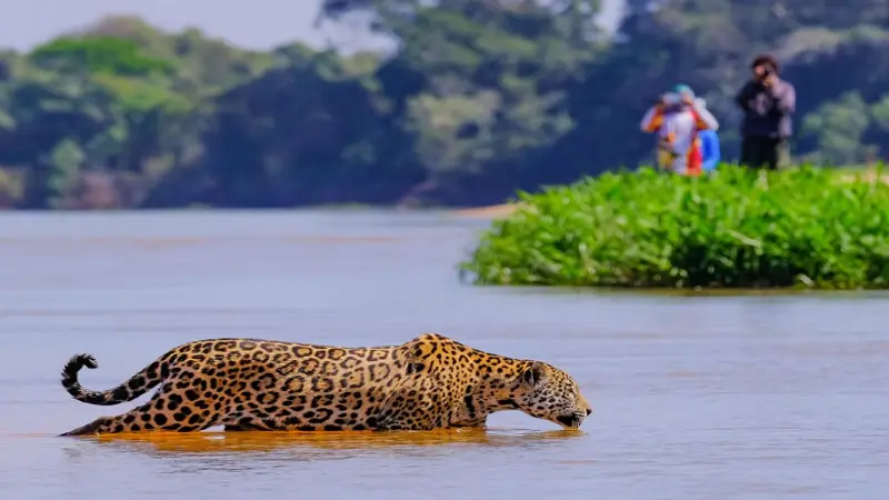 Speciale Leopard Safari Tour In Yala National Park Door Malith & Het Team