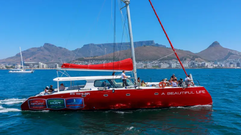 A boat trip adventure in Cape Town with Waterfront Boat Tours