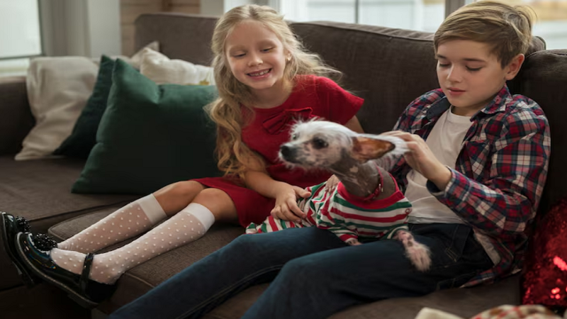 Indoor Pets LWMFPets