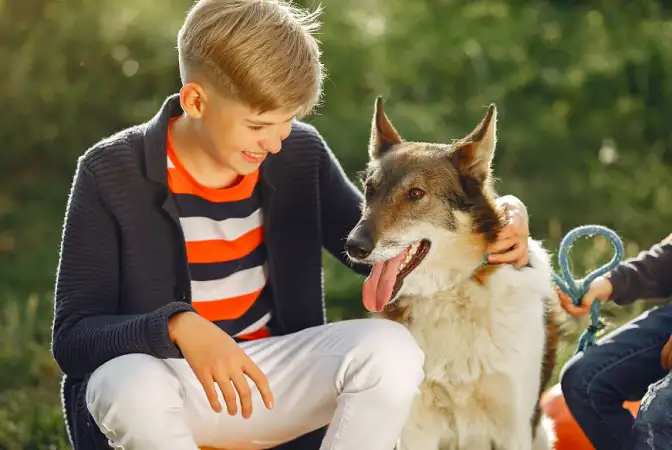 Pet Guide LWMFPets from LookWhatMomFound